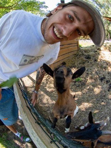Tričko RICH Dollar Goat