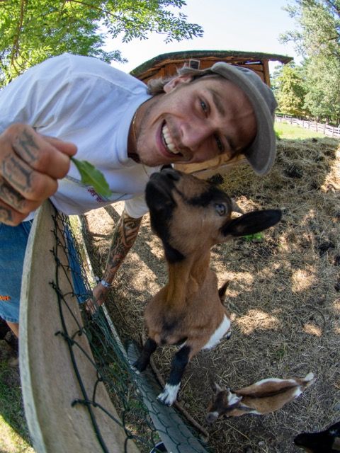Tričko RICH Dollar Goat