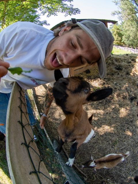 Tričko RICH Dollar Goat